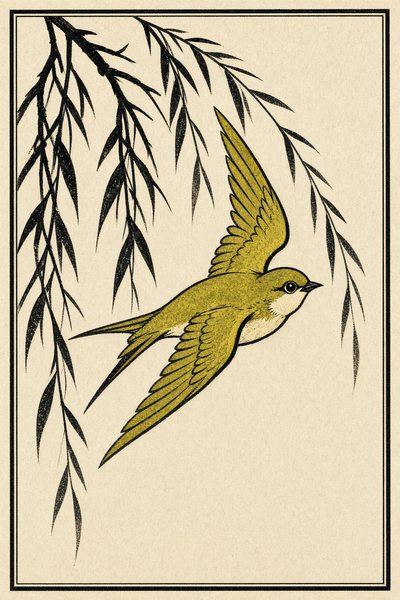 Willow — Swallow