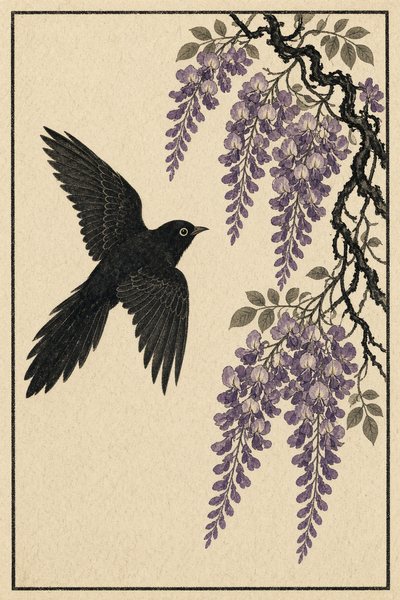 Wisteria — Cuckoo