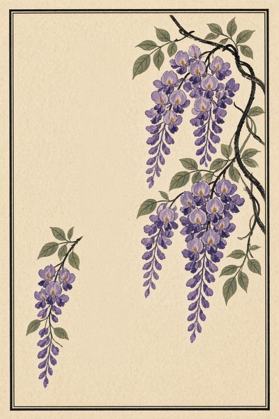 Wisteria — Wisteria chaff