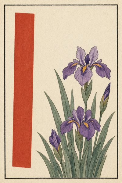 Iris — Red ribbon