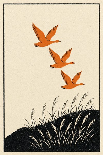 Pampas — Geese