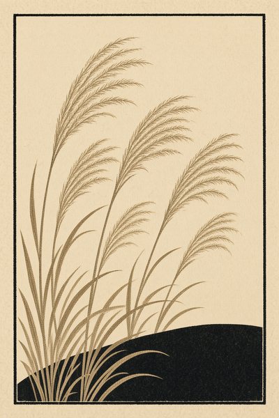 Pampas — Pampas chaff